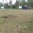  Land for sale in Thep Krasattri, Phuket, Thep Krasattri