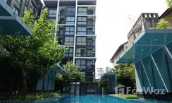 图片 3 of the Communal Pool at Chateau In Town Sukhumvit 62/1