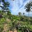  Land for sale in Lamai Beach, Maret, Maret