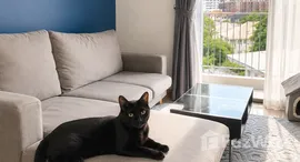 Unités disponibles à Downtown 49