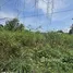  토지을(를) FazWaz.co.kr에서 판매합니다., Pa Daet, Mueang Chiang Mai, 치앙마이, 태국