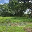  Land for sale in Nong Faek, Chiang Mai, Nong Faek
