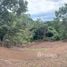  Land for sale in San Jose, Mora, San Jose