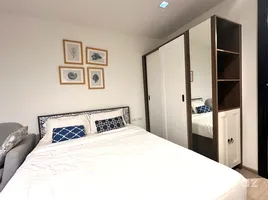 1 Bedroom Condo for rent at THE BASE Central Phuket, Wichit, Phuket Town, Phuket