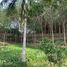  Land for sale in Layan Beach, Choeng Thale, Choeng Thale