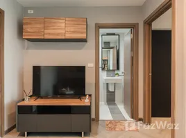 อพาร์ทเม้นท์ 1 ห้องนอน ให้เช่า ในโครงการ เดอะ เบส สุขุมวิท 77, พระโขนงเหนือ