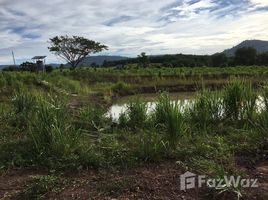 N/A Land for sale in Wang Nam Khiao, Nakhon Ratchasima Huge Land for Sale with Buildings In Wang Phai - Wang Nam Khiao