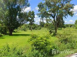  Land for sale in Yasothon, Kut Chiang Mi, Loeng Nok Tha, Yasothon