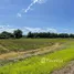 ขายที่ดิน ใน เชียงใหม่, ขี้เหล็ก, แม่ริม, เชียงใหม่