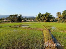 ขายที่ดิน ใน สะลวง, เชียงใหม่, สะลวง, แม่ริม, เชียงใหม่, ไทย
