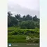  Land for sale in Tak Daet, Chumphon, Tak Daet, Mueang Chumphon
