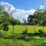  Terreno (Parcela) en venta en Costa Rica, Limón, Limón, Costa Rica