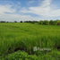  Land for sale in Nakhon Nayok, Pak Phli, Pak Phli, Nakhon Nayok