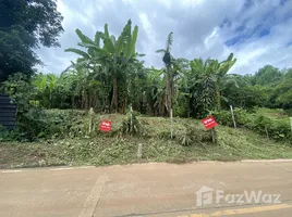 ขายที่ดิน ใน แม่แรม, เชียงใหม่, แม่แรม, แม่ริม, เชียงใหม่