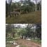  Land for sale in Thailand, Mueang Kai, Mae Taeng, Chiang Mai, Thailand