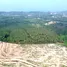  Land for sale in Bang Muang, Phangnga, Bang Muang, Takua Pa, Phangnga, Thailand