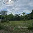  Land for sale in Nong Khwai, Chiang Mai, Nong Khwai, Hang Dong, Chiang Mai