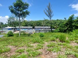  Land for sale in Bang Tao Beach, Choeng Thale, Choeng Thale