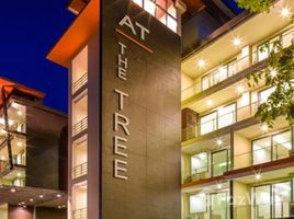 1 спален Квартира в аренду в At The Tree Condominium, Раваи, Пхукет Тощн