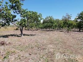  Terreno (Parcela) en venta en Boquete, Chiriquí, Alto Boquete, Boquete