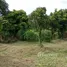 ขายที่ดิน ใน เกาะพะงัน, สุราษฎร์ธานี, เกาะพะงัน, เกาะพะงัน