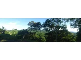  Land for sale in Nicoya, Guanacaste, Nicoya