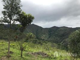 在Loja出售的 土地, Vilcabamba Victoria, Loja, Loja