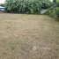  Land for sale in San Sai Chiang Mai, San Sai Luang, San Sai, Chiang Mai