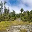 在Chiloe, Los Lagos出售的 土地, Ancud, Chiloe