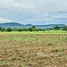  Land for sale in Wang Sai, Nakhon Ratchasima, Wang Sai, Pak Chong, Nakhon Ratchasima