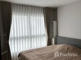 อพาร์ทเม้นท์ 1 ห้องนอน ให้เช่า ในโครงการ ไดมอนด์ สุขุมวิท, พระโขนง, คลองเตย