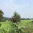 ขายที่ดิน ใน แม่แตง เชียงใหม่, แม่แตง, แม่แตง, เชียงใหม่, ไทย