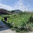  Land for sale in Nakhon Chai Si Nakhon Pathom, Tha Tamnak, Nakhon Chai Si