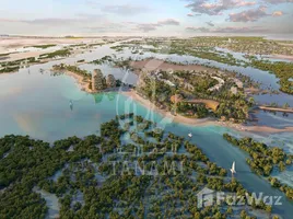  Terrain à vendre à Al Jubail Island., Saadiyat Beach, Saadiyat Island, Abu Dhabi