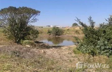 Jardim Tangará in Sao Carlos, Сан-Паулу