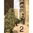 4 غرفة نوم شقة للبيع في Palm City, مدينة القطامية, مدينة القاهرة الجديدة