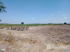 ขายที่ดิน ใน หนองมะค่า, ลพบุรี, หนองมะค่า