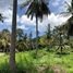 N/A Land for sale in Maret, Koh Samui Mountain View Land for Sale near Lamai Centre