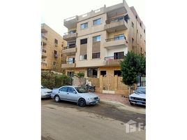 3 غرفة نوم شقة للبيع في Lazurde, 8th District, الشيخ زايد