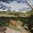  Land for sale in Ubon Ratchathani, Warin Chamrap, Warin Chamrap, Ubon Ratchathani