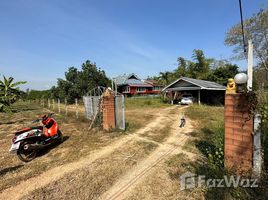  Grundstück zu verkaufen in Tha Yang, Phetchaburi, Khao Krapuk