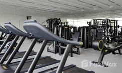 صورة 3 of the Communal Gym at Anwa Aria