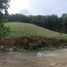  Terrain for sale in Thalang, Phuket, Pa Khlok, Thalang