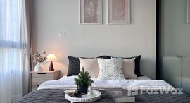 ยูนิตมือสองและให้เช่า