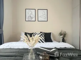 1 Bedroom Condo for rent at Belgravia Ratchada 17, Din Daeng, Din Daeng, Bangkok, Thailand