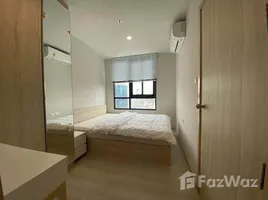1 Bedroom Condo for rent at Nue Noble Ngamwongwan, Bang Khen, Mueang Nonthaburi, Nonthaburi, Thailand