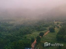  Terreno (Parcela) en venta en Ratchaburi, Suan Phueng, Ratchaburi