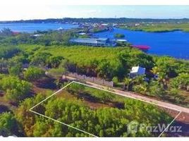  Земельный участок for sale in Utila, Bay Islands, Utila
