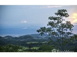  Grundstück zu verkaufen in Santa Cruz, Guanacaste, Santa Cruz