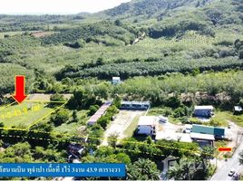 ขายที่ดิน ใน เทพกระษัตรี, ภูเก็ต, เทพกระษัตรี, ถลาง